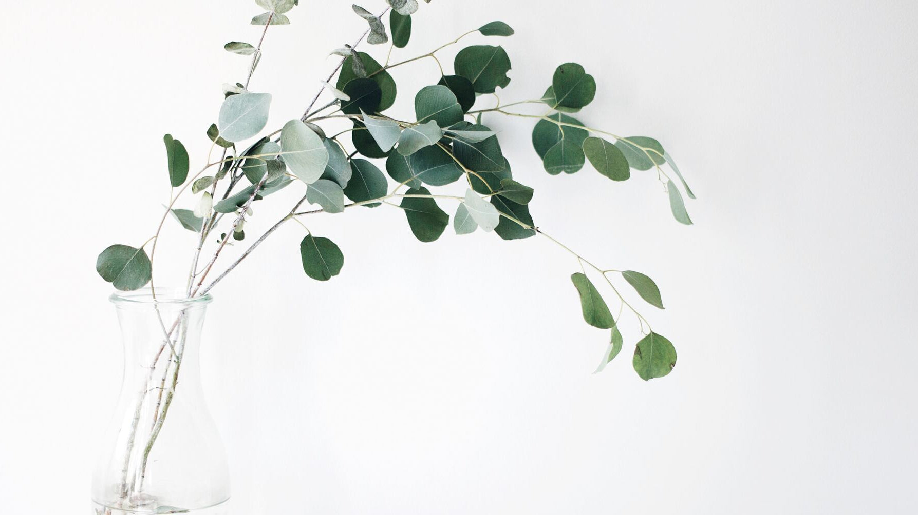 bamboo vs eucalyptus sheets