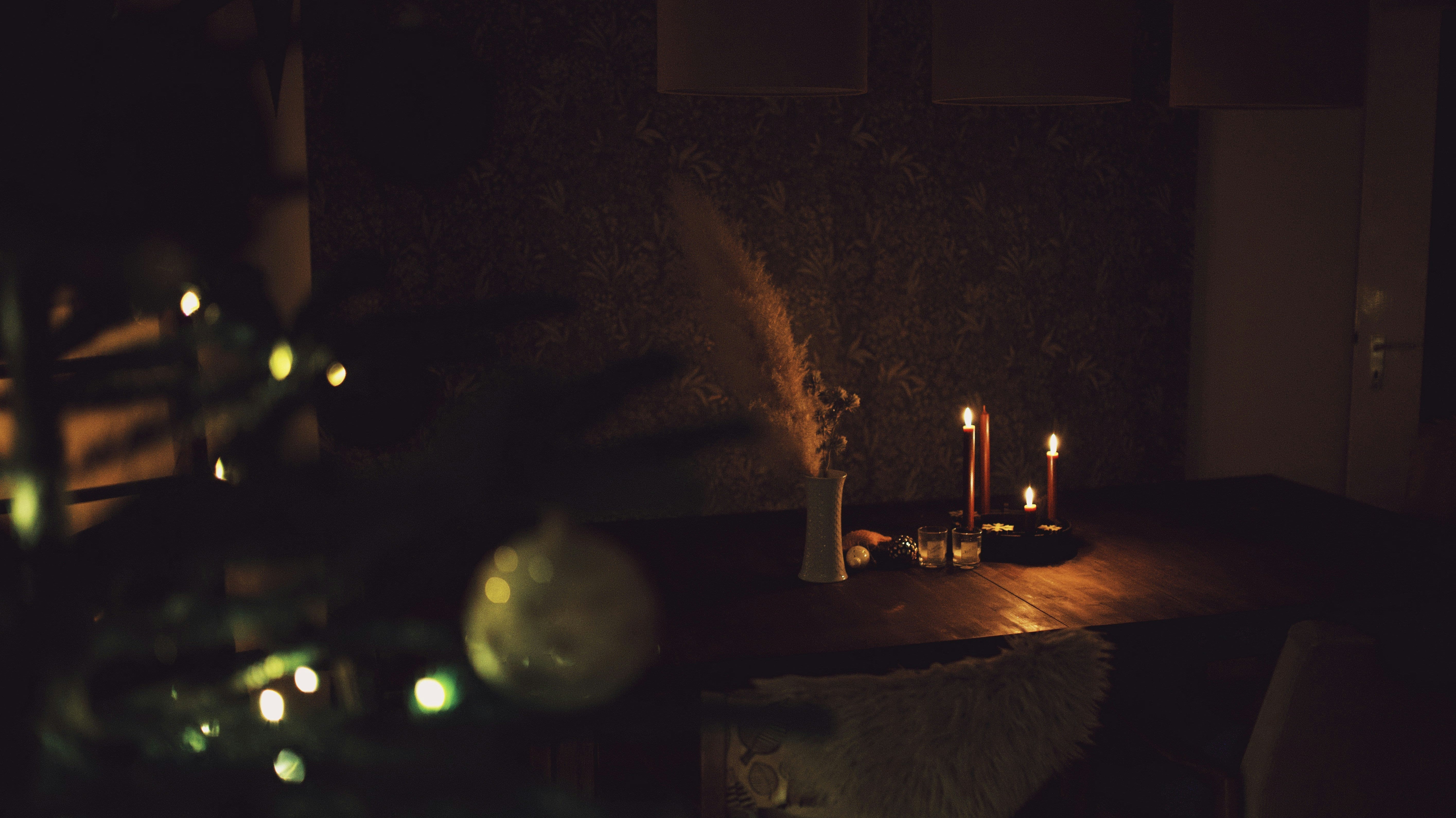 Bamboo Supporting Sleep Through Winter’s Shift