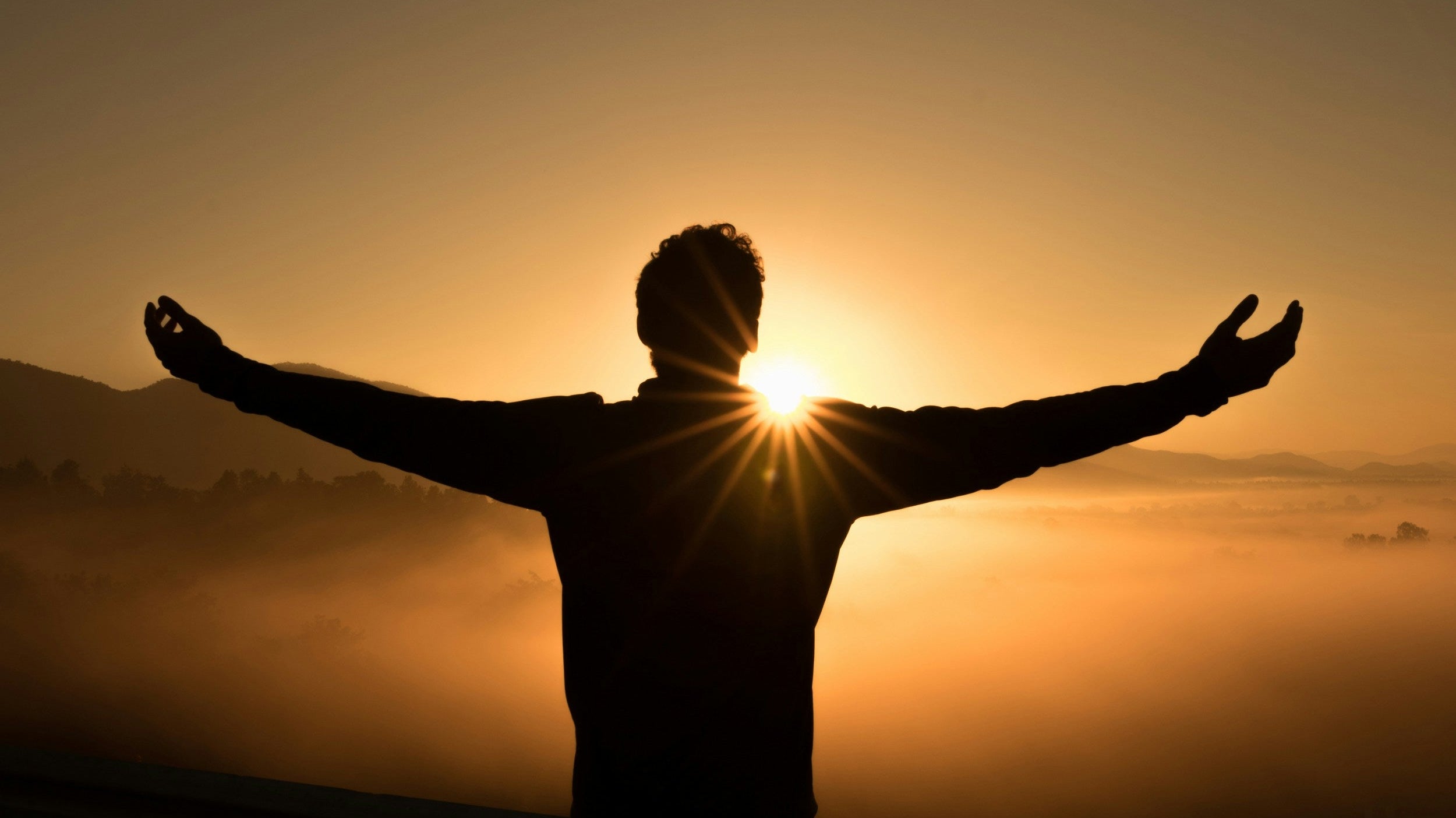 Mens Health: Beware of These Toxins That Are Harmful