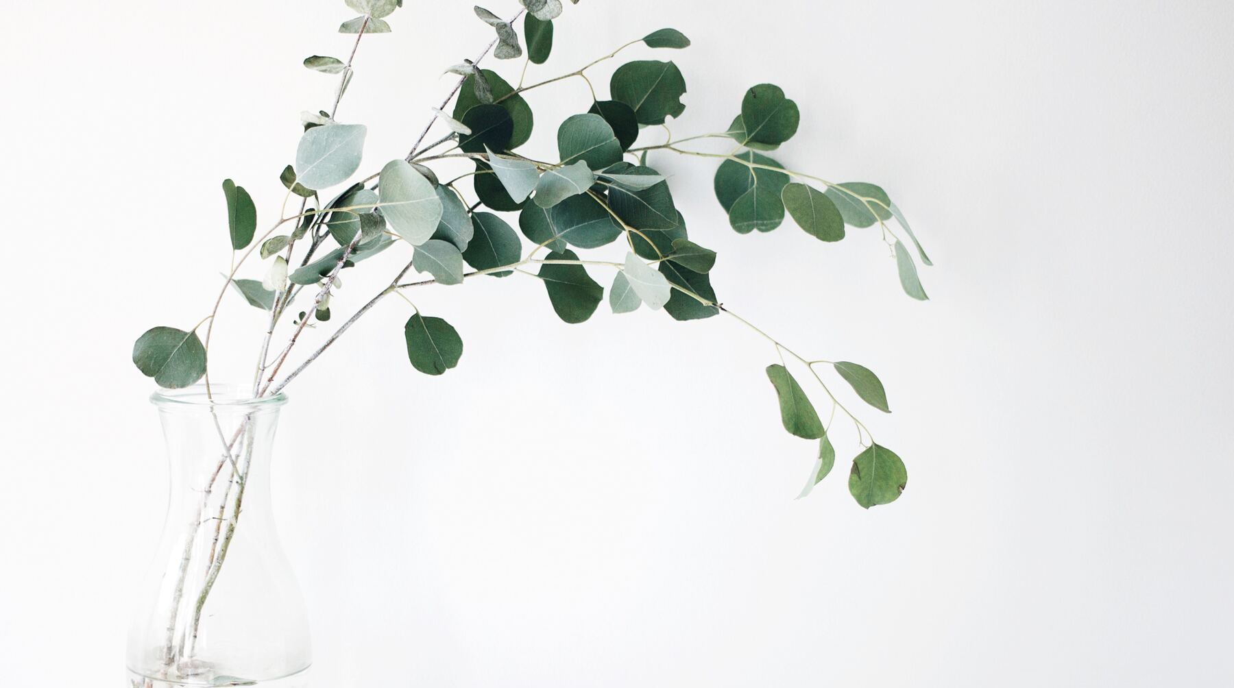 bamboo vs eucalyptus sheets