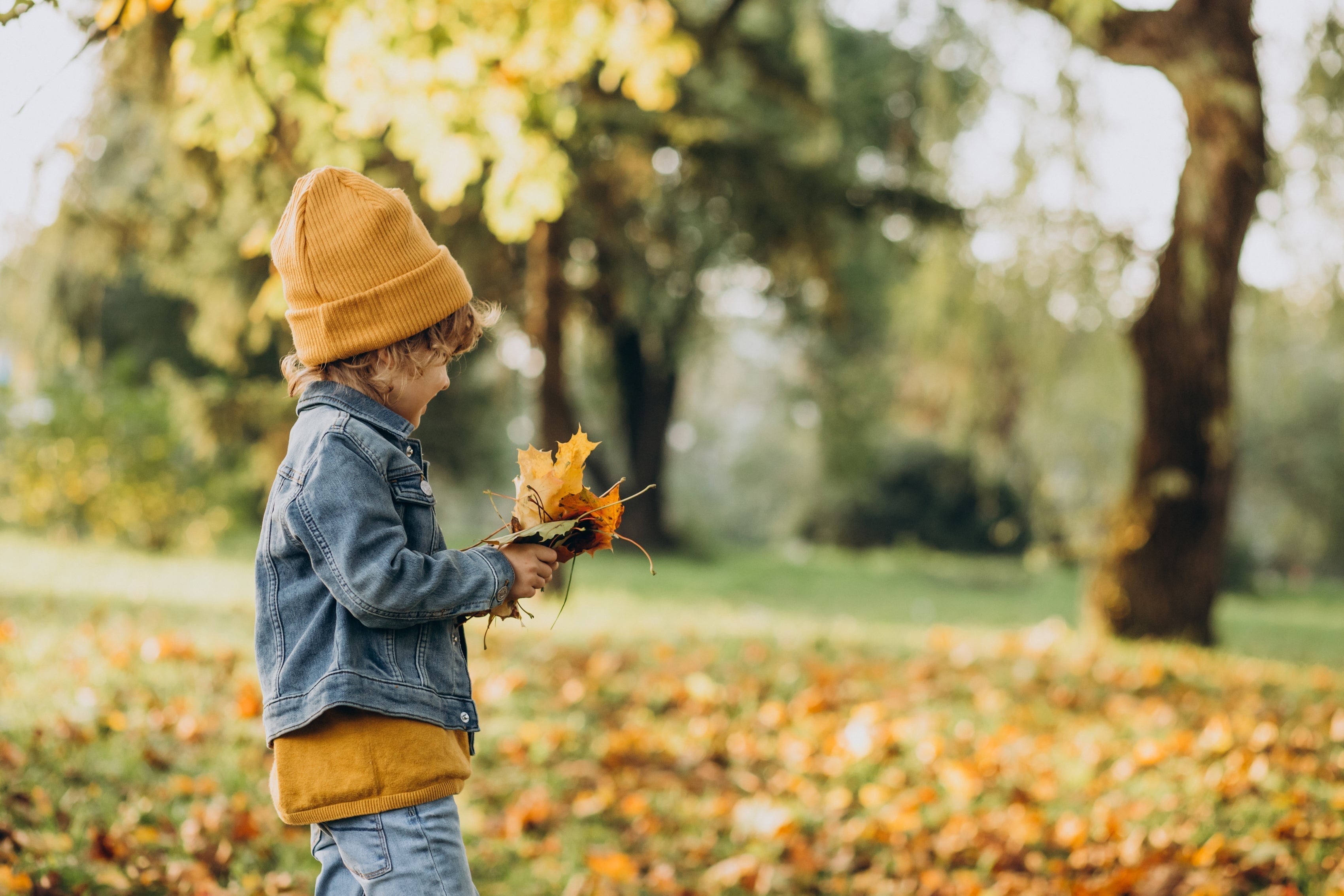 Fall Allergies in Kids: Relief Tips Every Parent Should Know