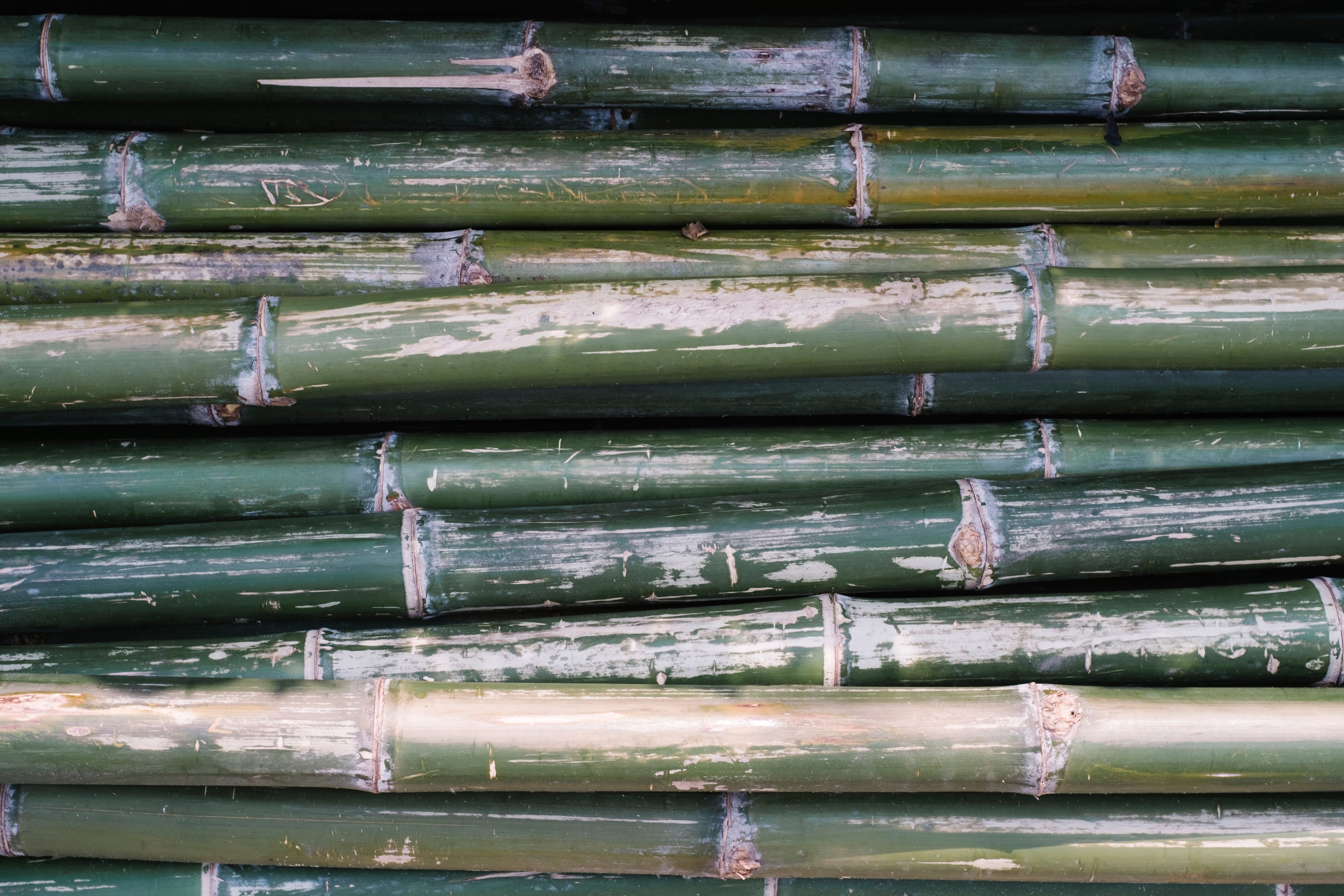 Year-Round Comfort: Why Bamboo Pajamas Are Perfect for Winter (and Every Season)